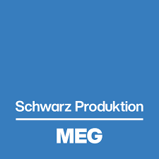 MEG